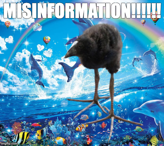 Misinformation dolphins | MISINFORMATION!!!!!! | image tagged in misinformation dolphins | made w/ Imgflip meme maker