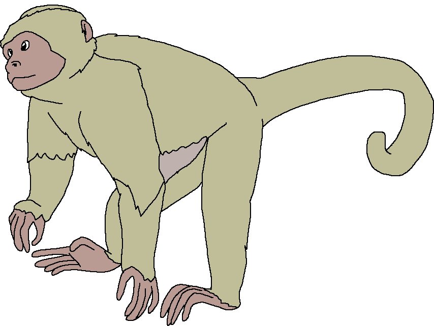 Female Mesopithecus (Paleoverse + EOIverse) Meme Template