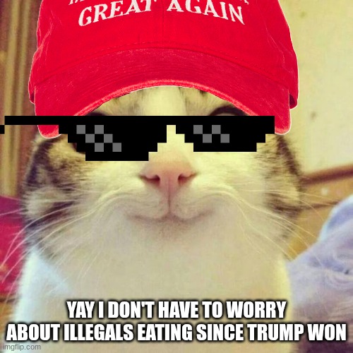 Smiling Cat | YAY I DON'T HAVE TO WORRY ABOUT ILLEGALS EATING SINCE TRUMP WON | image tagged in memes,smiling cat | made w/ Imgflip meme maker