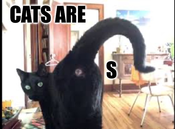 Guess the Word | CATS ARE; S | image tagged in cat butt,cats,fun,funny,the truth | made w/ Imgflip meme maker