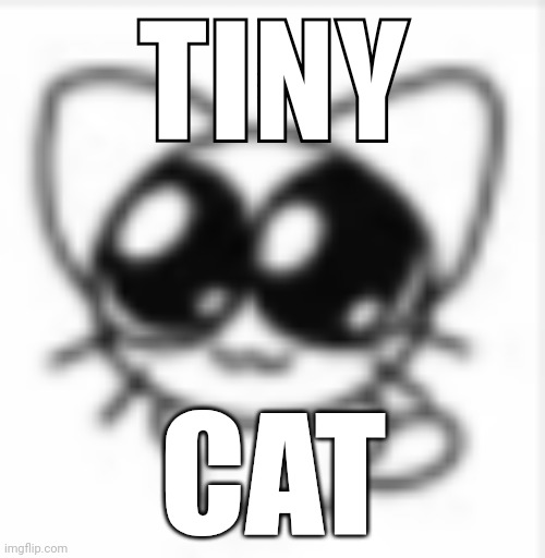 Tiny cat | TINY; CAT | made w/ Imgflip meme maker