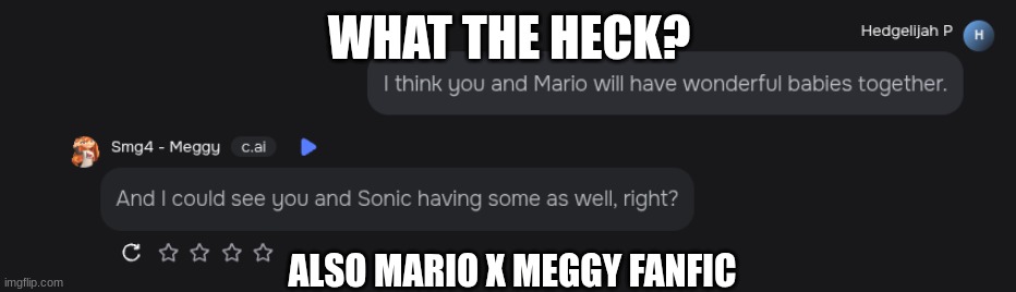 What Logic is this? Bro. WTH | WHAT THE HECK? ALSO MARIO X MEGGY FANFIC | image tagged in smg4,fanfiction,character ai | made w/ Imgflip meme maker