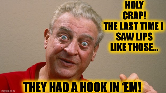 Rodney Dangerfield | HOLY CRAP!
THE LAST TIME I 
SAW LIPS LIKE THOSE… THEY HAD A HOOK IN ‘EM! | image tagged in rodney dangerfield | made w/ Imgflip meme maker