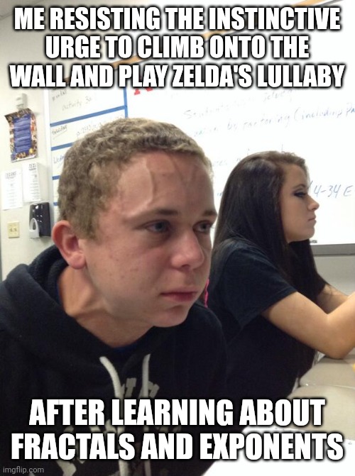 "There is mysterious power in these notes..." | ME RESISTING THE INSTINCTIVE URGE TO CLIMB ONTO THE WALL AND PLAY ZELDA'S LULLABY; AFTER LEARNING ABOUT FRACTALS AND EXPONENTS | image tagged in hold fart,legend of zelda,ocarina of time | made w/ Imgflip meme maker