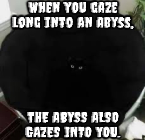 The Abyss | When you gaze long into an abyss, THE ABYSS ALSO GAZES INTO YOU. | image tagged in the void,black cat,abyss,spooky,stealth,hello darkness my old friend | made w/ Imgflip meme maker