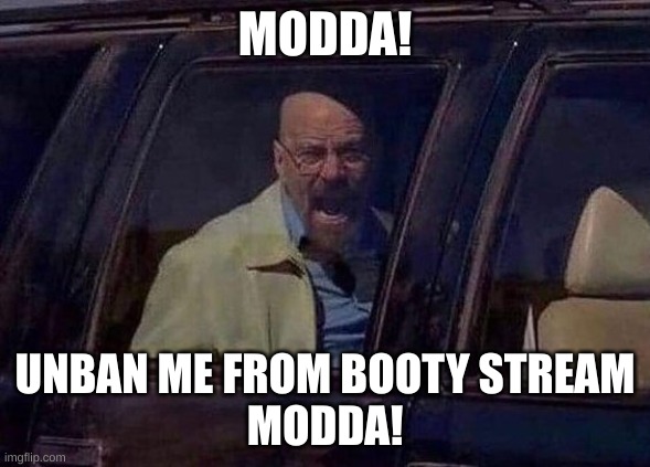 Walter in Car | MODDA! UNBAN ME FROM BOOTY STREAM


MODDA! | image tagged in walter in car | made w/ Imgflip meme maker