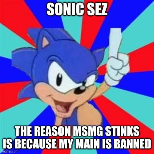 Sonic sez | SONIC SEZ; THE REASON MSMG STINKS IS BECAUSE MY MAIN IS BANNED | image tagged in sonic sez | made w/ Imgflip meme maker