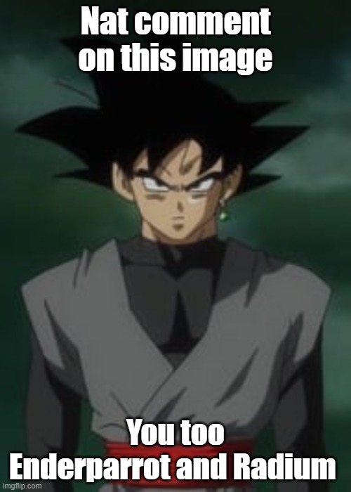 Goku black questions you | Nat comment on this image; You too Enderparrot and Radium | image tagged in goku black questions you | made w/ Imgflip meme maker