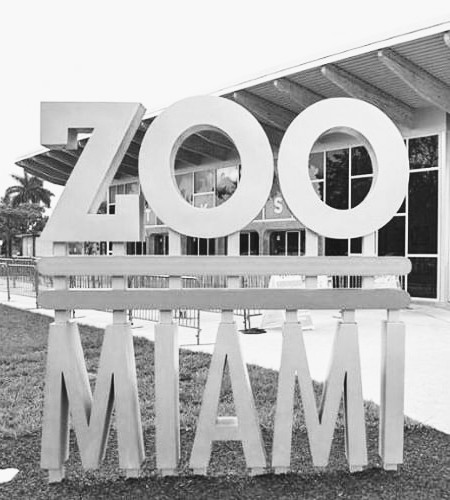 Zoo. Blank Meme Template