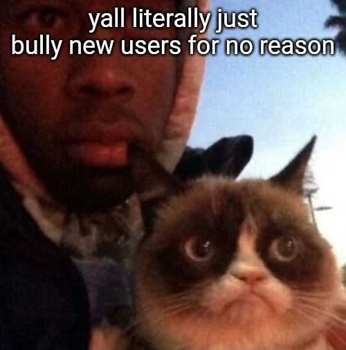 tyler the creator and grumpy cat | yall literally just bully new users for no reason | image tagged in tyler the creator and grumpy cat | made w/ Imgflip meme maker