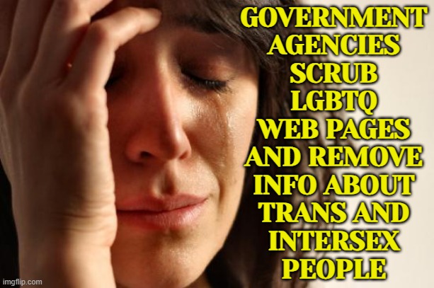 Government Agencies Scrub Lgbtq Web Pages | GOVERNMENT
AGENCIES
SCRUB
LGBTQ
WEB PAGES
AND REMOVE
INFO ABOUT
TRANS AND
INTERSEX
PEOPLE | image tagged in memes,first world problems,scumbag government,evil government,donald trump,cdc | made w/ Imgflip meme maker