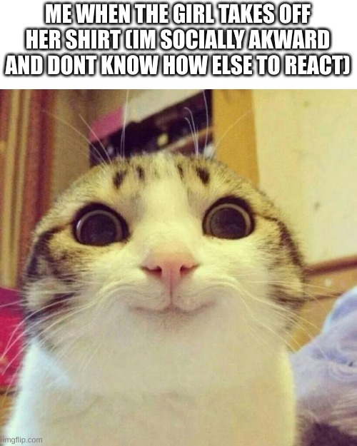 Smiling Cat | ME WHEN THE GIRL TAKES OFF HER SHIRT (IM SOCIALLY AKWARD AND DONT KNOW HOW ELSE TO REACT) | image tagged in memes,smiling cat | made w/ Imgflip meme maker