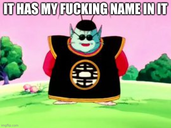 King Kai Wisdom | IT HAS MY FUCKING NAME IN IT | image tagged in king kai wisdom | made w/ Imgflip meme maker