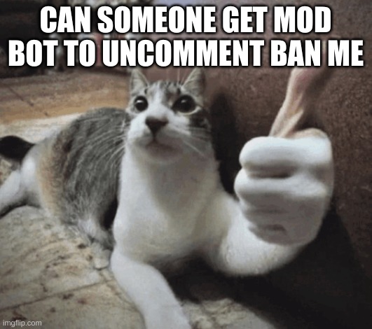 cat thumbs up | CAN SOMEONE GET MOD BOT TO UNCOMMENT BAN ME | image tagged in cat thumbs up | made w/ Imgflip meme maker