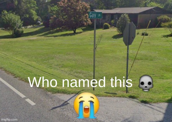 I saw this while driving to walmart | Who named this | image tagged in wait what,why are you reading the tags | made w/ Imgflip meme maker