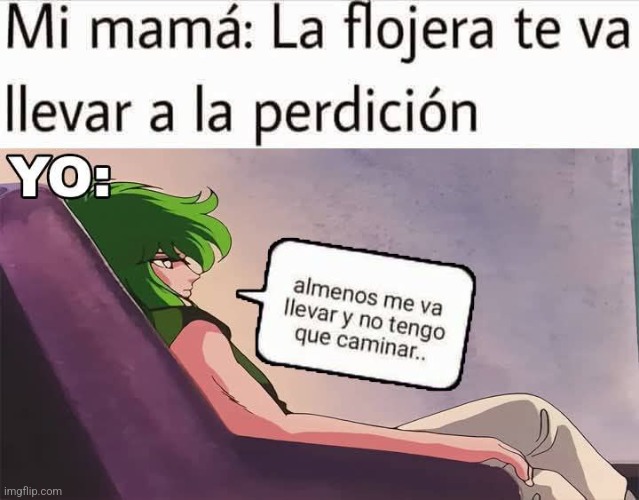 9jrvpt.jpg