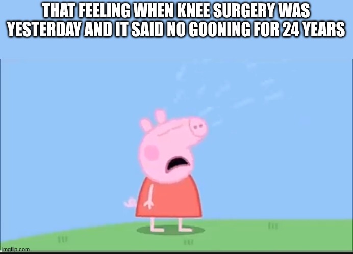 That must have hurt | THAT FEELING WHEN KNEE SURGERY WAS YESTERDAY AND IT SAID NO GOONING FOR 24 YEARS | image tagged in peppa pig cryne,gooning,edging,skibidi | made w/ Imgflip meme maker