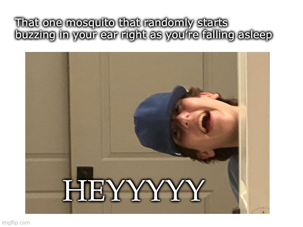 Mosquito in Your ear | That one mosquito that randomly starts buzzing in your ear right as you’re falling asleep; HEYYYYY | image tagged in mosquito,ear,falling asleep | made w/ Imgflip meme maker