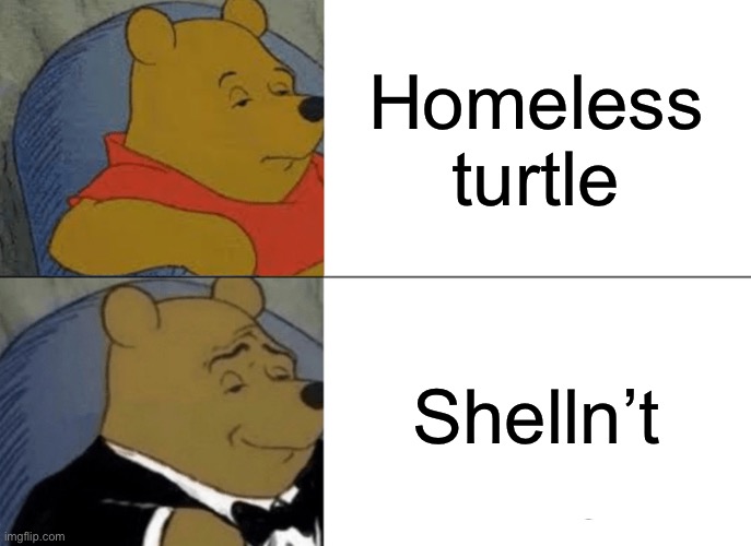 Tuxedo Winnie The Pooh Meme | Homeless turtle; Shelln’t | image tagged in memes,tuxedo winnie the pooh | made w/ Imgflip meme maker