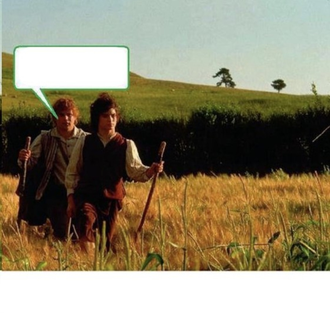 High Quality Sam Va Lentin Blank Meme Template