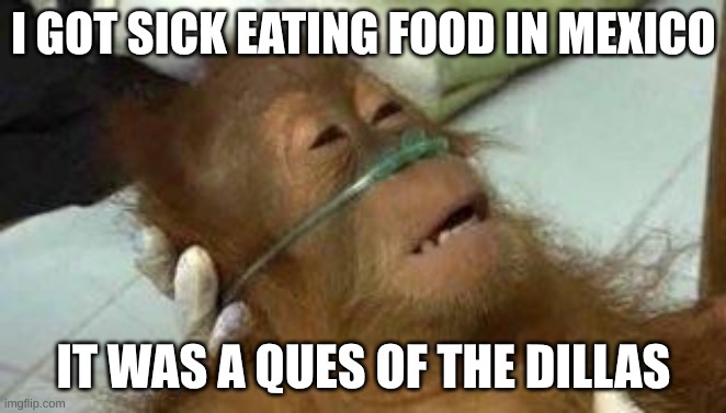 "ques" like "case"   the quesadillas | I GOT SICK EATING FOOD IN MEXICO; IT WAS A QUES OF THE DILLAS | image tagged in sick orangutan | made w/ Imgflip meme maker