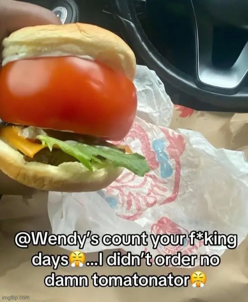 Tomatonator | image tagged in gifs,memes,funny,shitpost,wendys,msmg | made w/ Imgflip meme maker