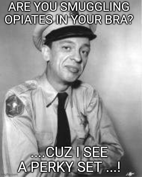 Barney | ARE YOU SMUGGLING OPIATES IN YOUR BRA? ....CUZ I SEE A PERKY SET ...! | image tagged in smiles | made w/ Imgflip meme maker