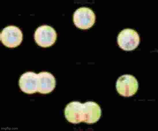 Mitosis | image tagged in mitosis | made w/ Imgflip meme maker