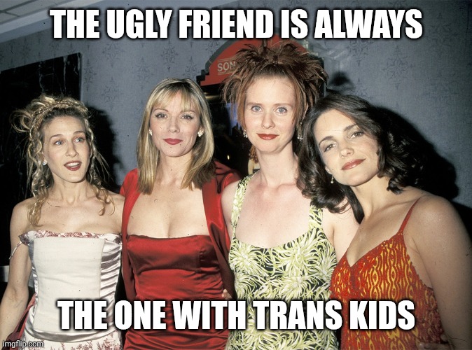 The ugly friend | THE UGLY FRIEND IS ALWAYS THE ONE WITH TRANS KIDS | image tagged in the ugly friend | made w/ Imgflip meme maker