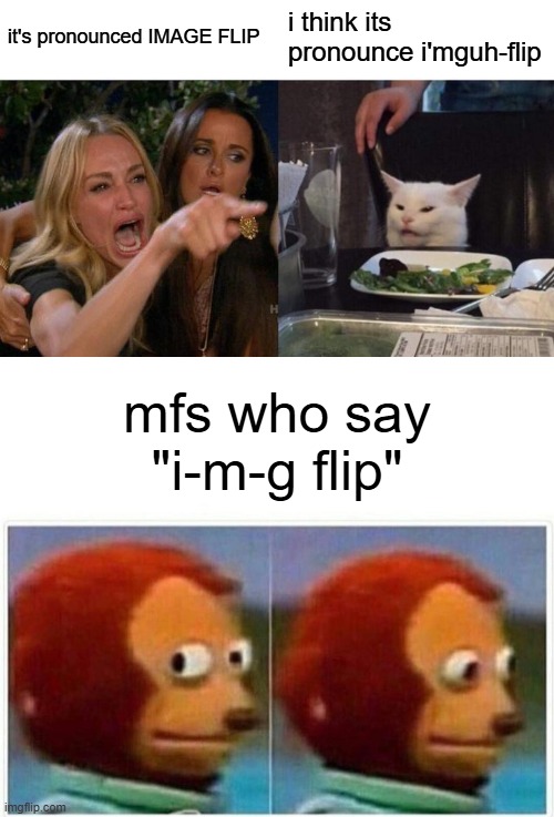 my siblings trying to pronounce imgflip be like | it's pronounced IMAGE FLIP; i think its pronounce i'mguh-flip; mfs who say "i-m-g flip" | image tagged in memes,woman yelling at cat,monkey puppet | made w/ Imgflip meme maker