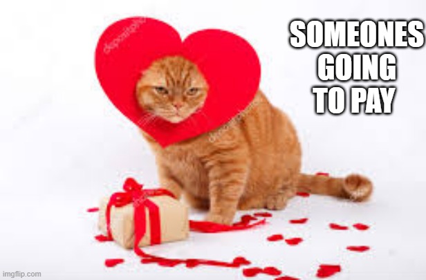 memes by Brad - Cat is not happy dressed up for Valentine's Day | SOMEONES GOING TO PAY | image tagged in cats,funny,kitten,valentine's day,humor | made w/ Imgflip meme maker