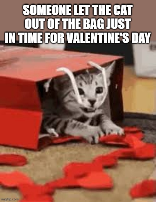 memes by Brad - Someone let the cat out of the bag just for Valentine's Day | SOMEONE LET THE CAT OUT OF THE BAG JUST IN TIME FOR VALENTINE'S DAY | image tagged in cats,kittens,valentine's day,cute,funny | made w/ Imgflip meme maker