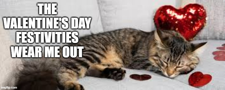 memes by Brad - Cat says that Valentine's Day really wears him out - humor - | THE VALENTINE'S DAY FESTIVITIES WEAR ME OUT | image tagged in cats,kitten,funny,valentine's day,humor,tired cat | made w/ Imgflip meme maker