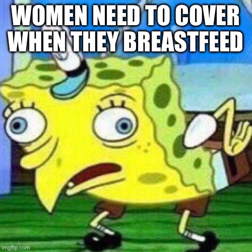 triggerpaul | WOMEN NEED TO COVER WHEN THEY BREASTFEED | image tagged in triggerpaul | made w/ Imgflip meme maker