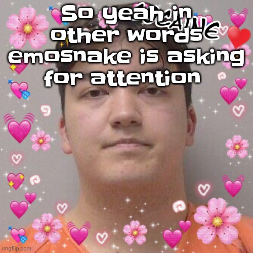 Larson | So yeah in other words emosnake is asking for attention | image tagged in larson | made w/ Imgflip meme maker