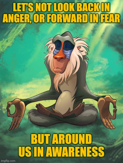 Be Aware Of Your Surroundings | LET'S NOT LOOK BACK IN ANGER, OR FORWARD IN FEAR; BUT AROUND US IN AWARENESS | image tagged in rafiki wisdom,be aware,be kind,love wins,knowledge is power,memes | made w/ Imgflip meme maker