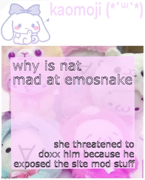 idc abt it but bro he’s obviously gonna dislike it | why is nat mad at emosnake; she threatened to doxx him because he exposed the site mod stuff | image tagged in kaomoji | made w/ Imgflip meme maker