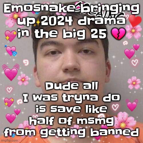 Drama is over no matter who posts about it, it is over, I am sick of this shit | Emosnake bringing up 2024 drama in the big 25 💔; Dude all I was tryna do is save like half of msmg from getting banned | image tagged in larson | made w/ Imgflip meme maker