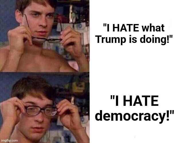 The situation, clarified | "I HATE what
Trump is doing!"; "I HATE
democracy!" | image tagged in spiderman glasses,memes,trump derangement syndrome,democrats,democracy,hatred | made w/ Imgflip meme maker