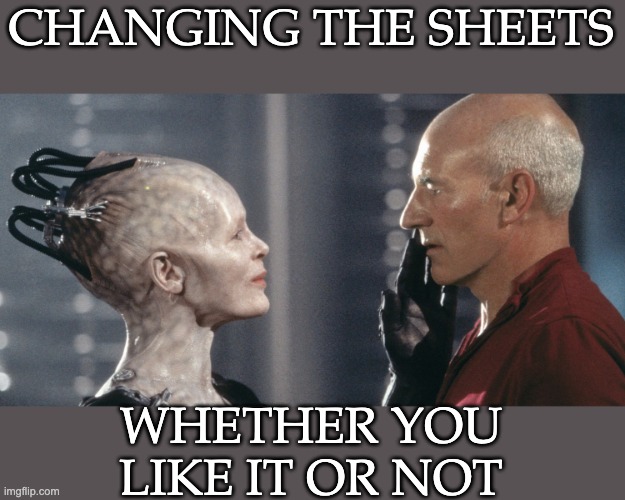 This meme is almost, but not quite, as old as I am | CHANGING THE SHEETS; WHETHER YOU LIKE IT OR NOT | image tagged in star trek borg queen,parenting,housework,bed | made w/ Imgflip meme maker