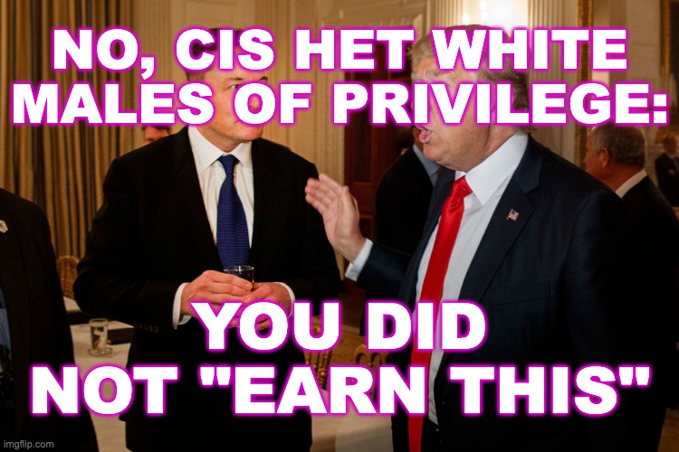 Trump and Elon Musk | NO, CIS HET WHITE MALES OF PRIVILEGE: YOU DID NOT "EARN THIS" | image tagged in trump and elon musk | made w/ Imgflip meme maker