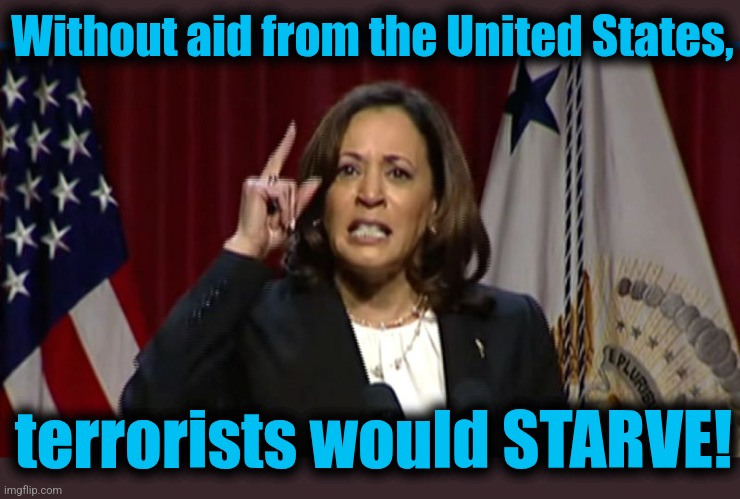 Kamala Angry | Without aid from the United States, terrorists would STARVE! | image tagged in kamala angry | made w/ Imgflip meme maker