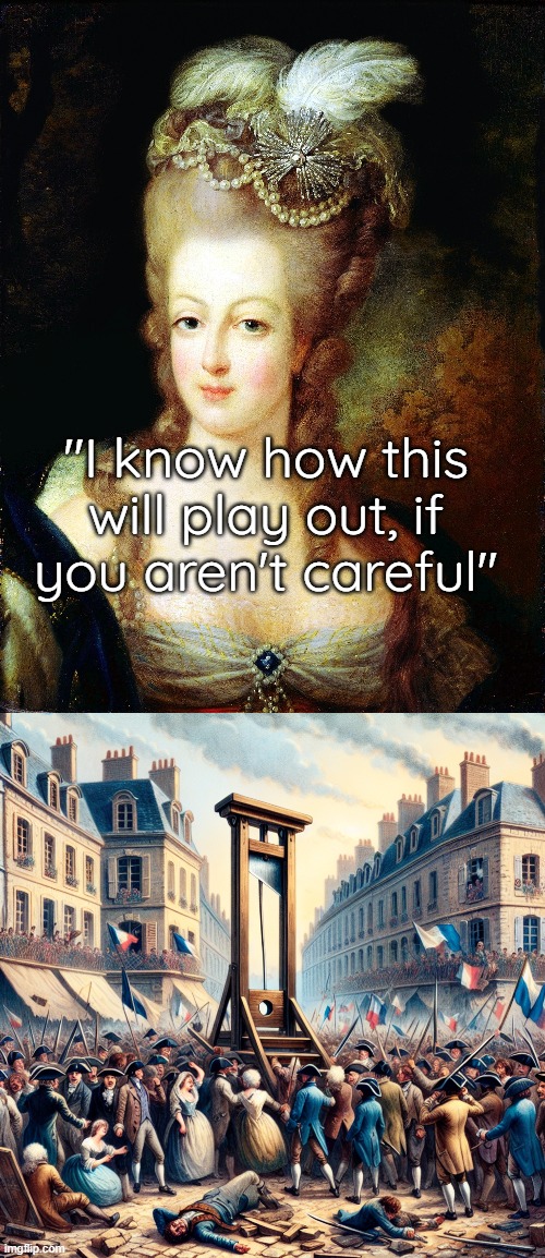 "I know how this will play out, if you aren't careful" | image tagged in marie antoinette,french revolution | made w/ Imgflip meme maker