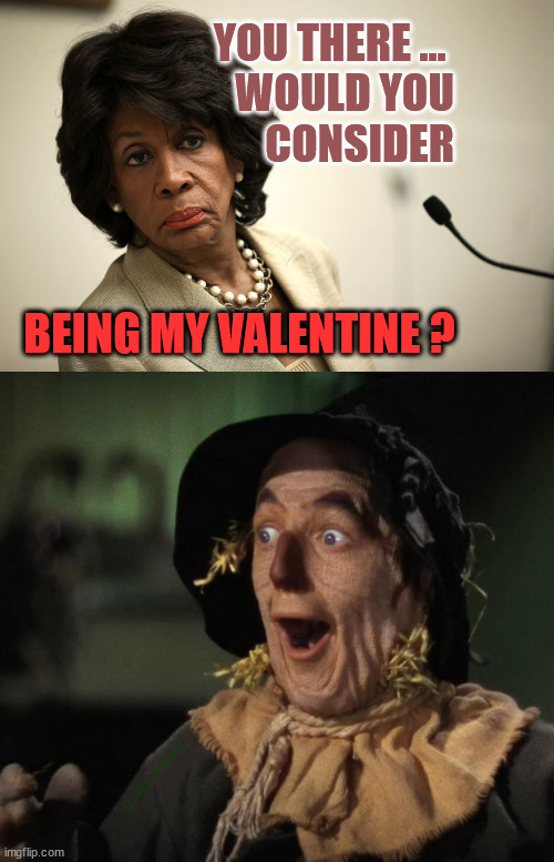 There is someone for everyone | YOU THERE ... 
WOULD YOU
CONSIDER; BEING MY VALENTINE ? DJ Anomalous | image tagged in maxine waters,match,oh boy,happy valentine's day | made w/ Imgflip meme maker