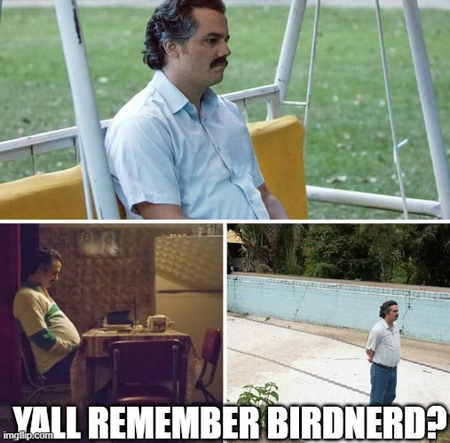 i miss her so much and i feel like its my fault she left | YALL REMEMBER BIRDNERD? | image tagged in memes,sad pablo escobar | made w/ Imgflip meme maker