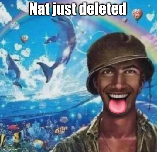 freaky 1000 yard symphony | Nat just deleted | image tagged in freaky 1000 yard symphony | made w/ Imgflip meme maker