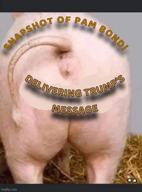 Pam Bondi & Donald Trump | : | image tagged in donald trump,republicans,maga,right wing,conservatives,pam bondi | made w/ Imgflip meme maker