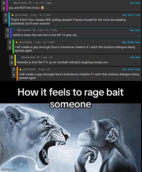 image tagged in how it feels to rage bait someone | made w/ Imgflip meme maker