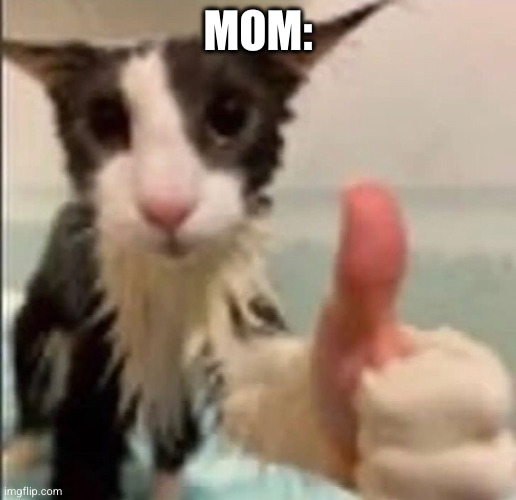 Cat thumbs up | MOM: | image tagged in cat thumbs up | made w/ Imgflip meme maker