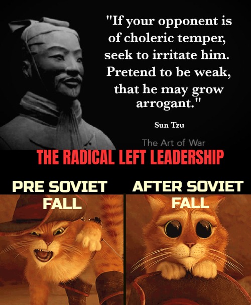 The fall of the Soviet Union 1989-91 was  by the global far left seen as a huge wake-up call. A need for reinvention appeared | THE RADICAL LEFT LEADERSHIP; AFTER SOVIET 
FALL; PRE SOVIET 
FALL | image tagged in communism,democrats,philosophy,shrek cat | made w/ Imgflip meme maker